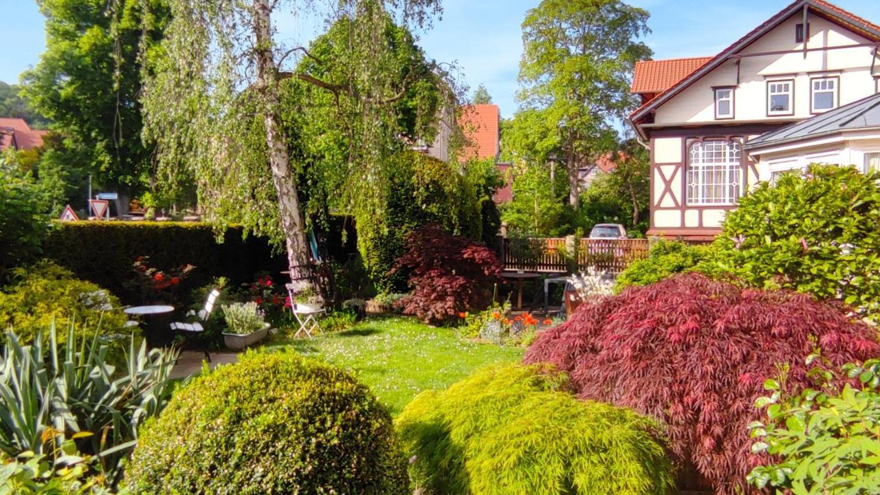 Fewo Am Wetzstein Wernigerode Esterno foto